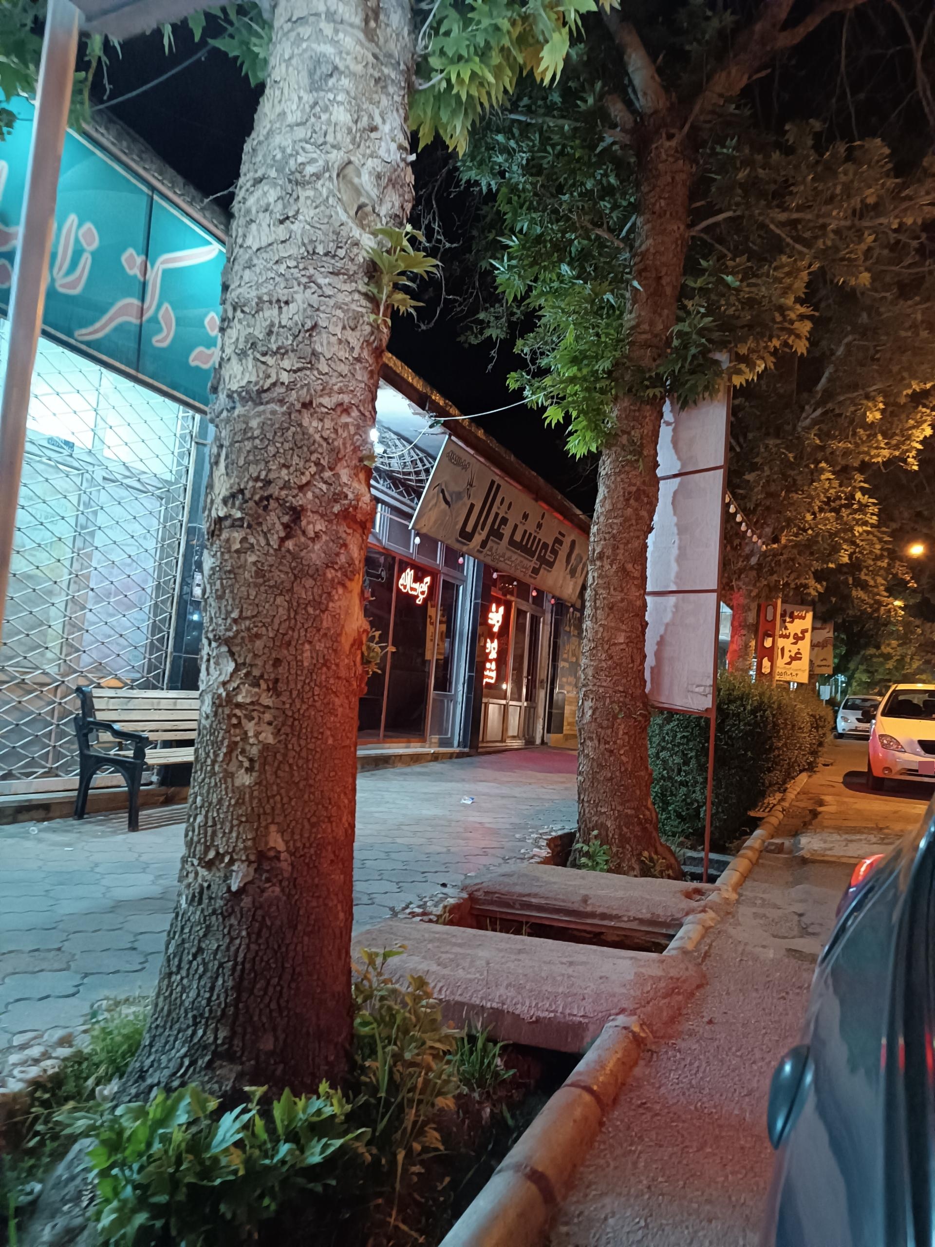 عکس سوپر گوشت غزال