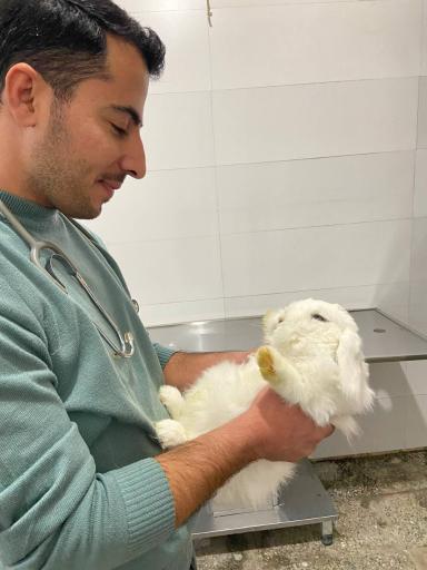 عکس کلینیک دامپزشکی دکتر عباسی