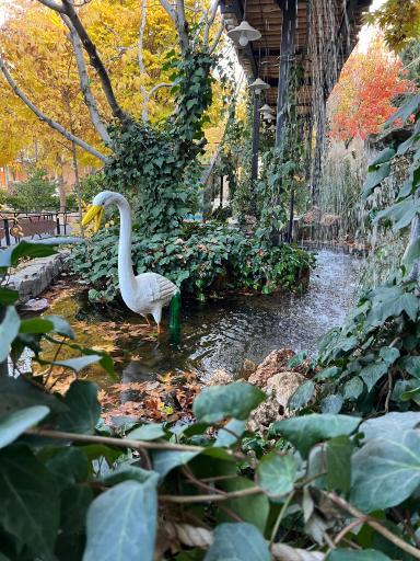 عکس شاندیز سرسبز قلات