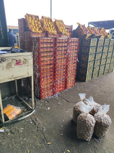 عکس بازرگانی وکیل شریفی