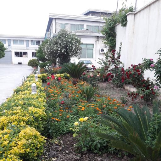 عکس کارخانه دلند الکتریک