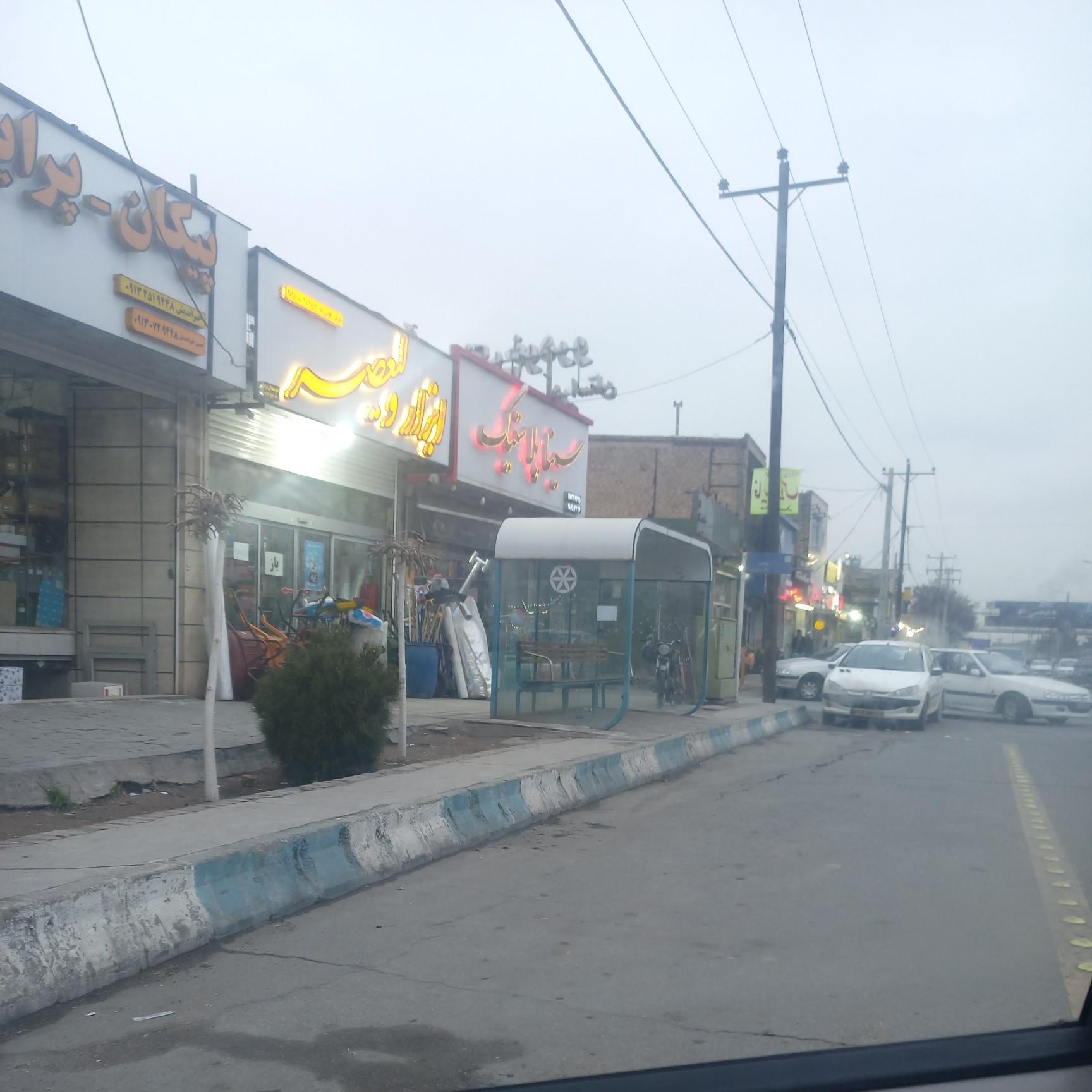 عکس میوه کده فجر