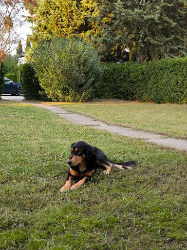 عکس مجتمع رفاهي خزر شهر شركت رفاگستر