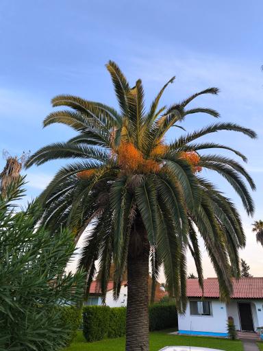 عکس مجتمع رفاهي خزر شهر شركت رفاگستر