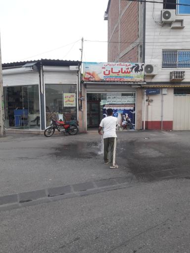 عکس لبنیاتی شایان