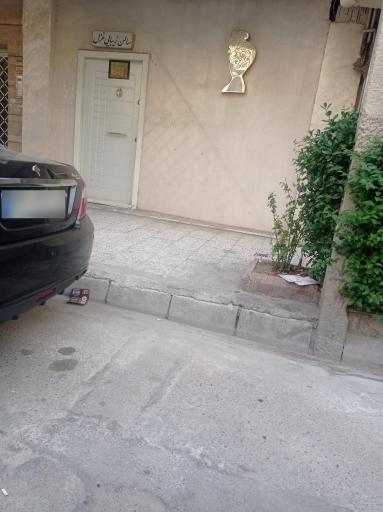 عکس زیبایی غزل برتر