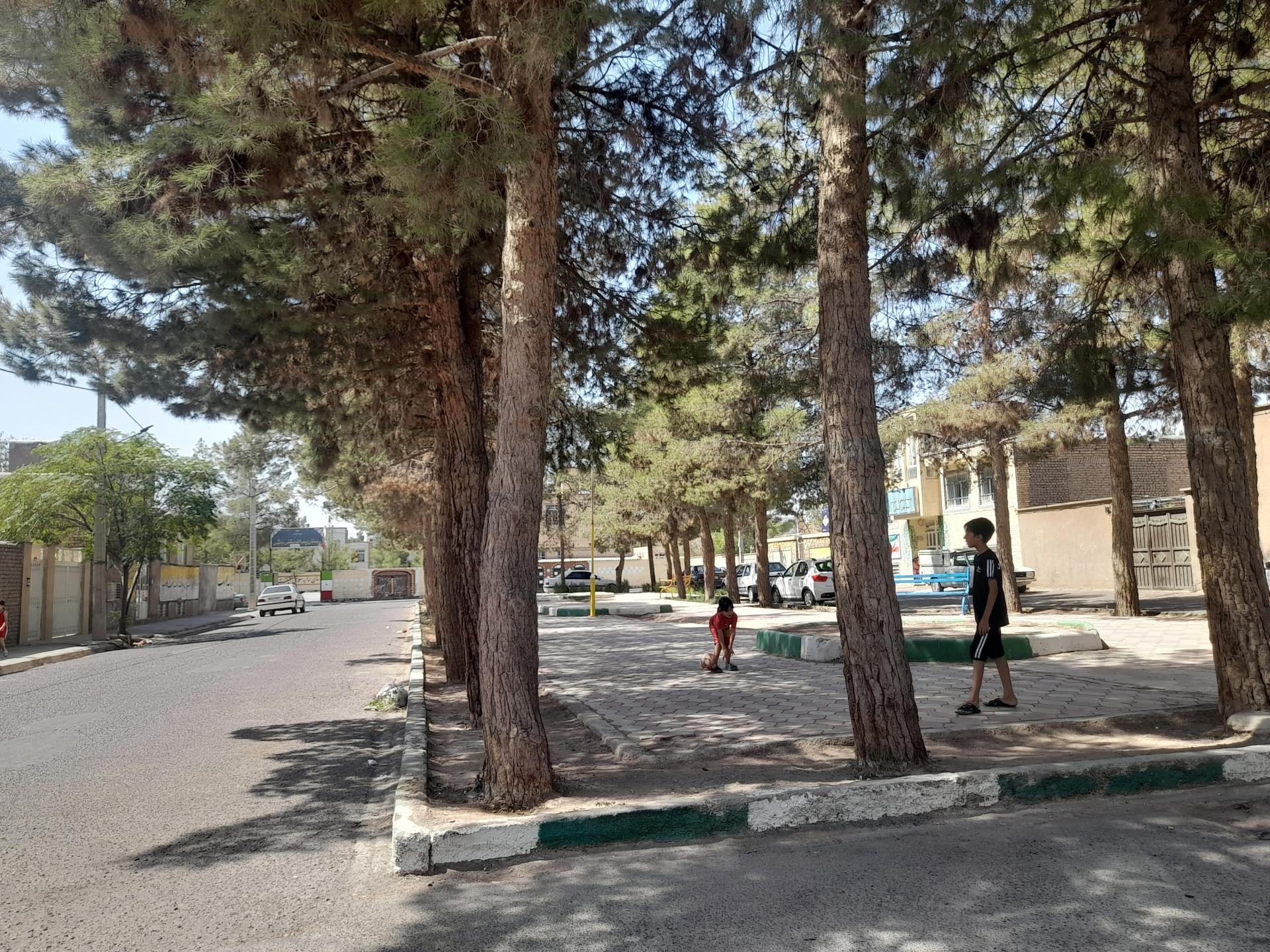 عکس بوستان هاشمیه