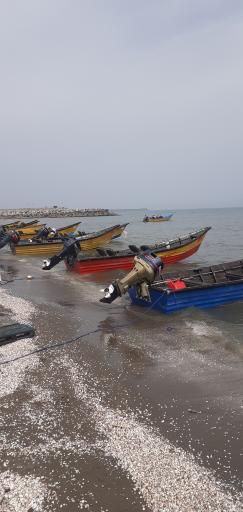 عکس منطقه آزاد انزلی