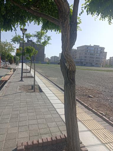 عکس  محمدیه 13