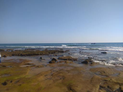 عکس پلاژ ساحلی تیس