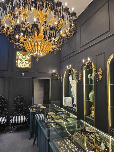 عکس دوما گالری