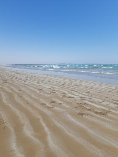 عکس پلاژ ساحلی تیس