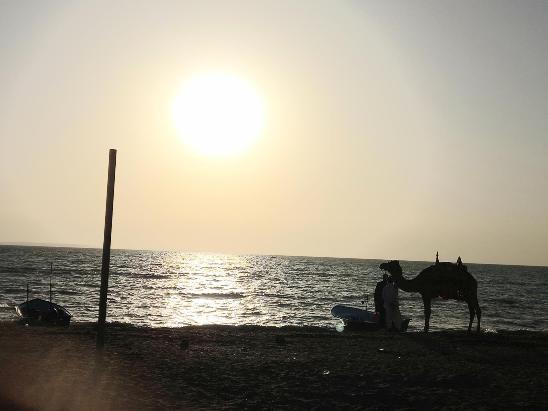 عکس پلاژ ساحلی تیس