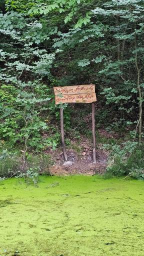 عکس پارک جنگلی میرزا کوچک خان