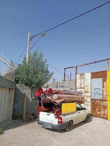 عکس قالیشویی رازی