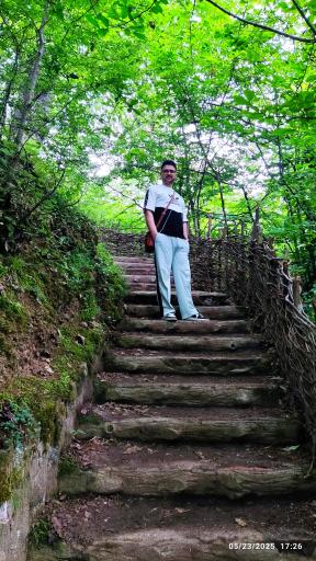 عکس پارک جنگلی میرزا کوچک خان