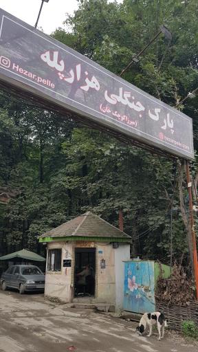 عکس پارک جنگلی میرزا کوچک خان