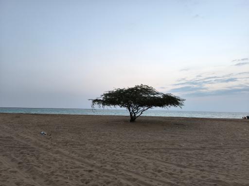 عکس پلاژ ساحلی تیس