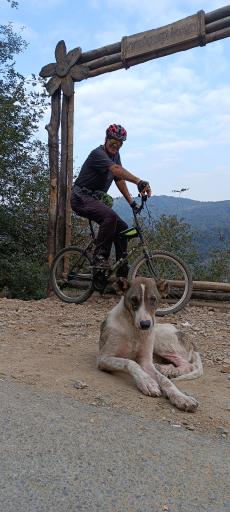 عکس پارک جنگلی میرزا کوچک خان