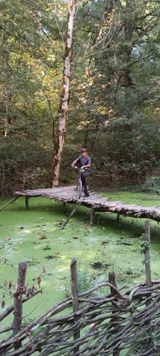 عکس پارک جنگلی میرزا کوچک خان