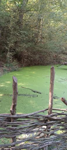 عکس پارک جنگلی میرزا کوچک خان