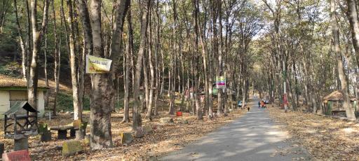 عکس پارک جنگلی میرزا کوچک خان