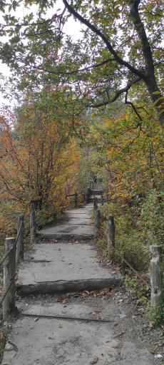 عکس پارک جنگلی میرزا کوچک خان