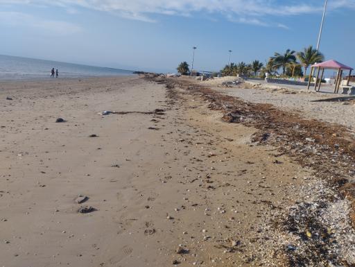 عکس پلاژ ساحلی تیس