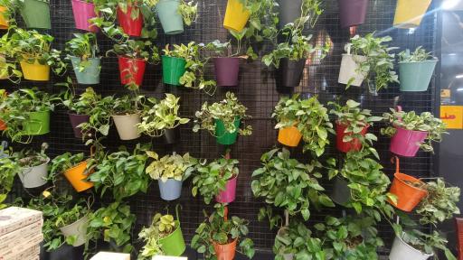 عکس فست فود بست فود