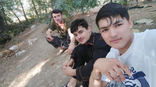 عکس پارک میرود