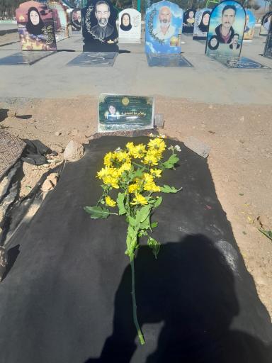 عکس آرامستان نجف آباد