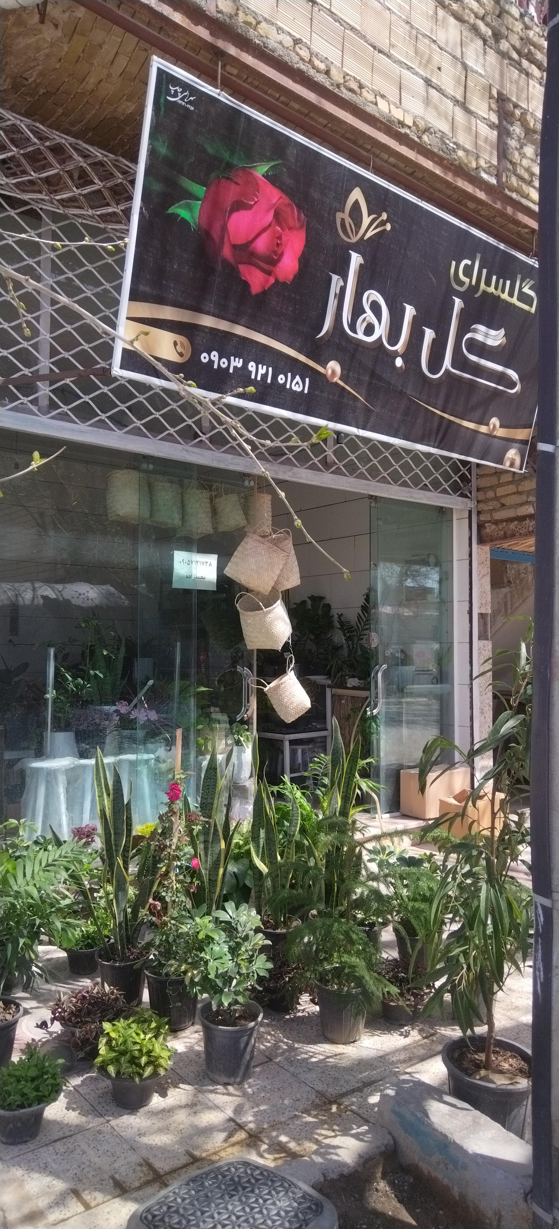 عکس گلسرای گل بهار 