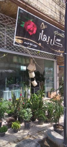 عکس گلسرای گل بهار 