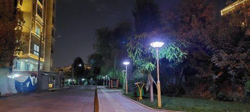 عکس فضای سبز مهدی ( یگانگی)