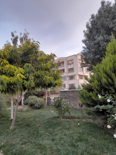 عکس فضای سبز مهدی ( یگانگی)