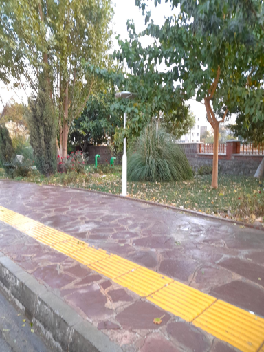 عکس فضای سبز مهدی ( یگانگی)