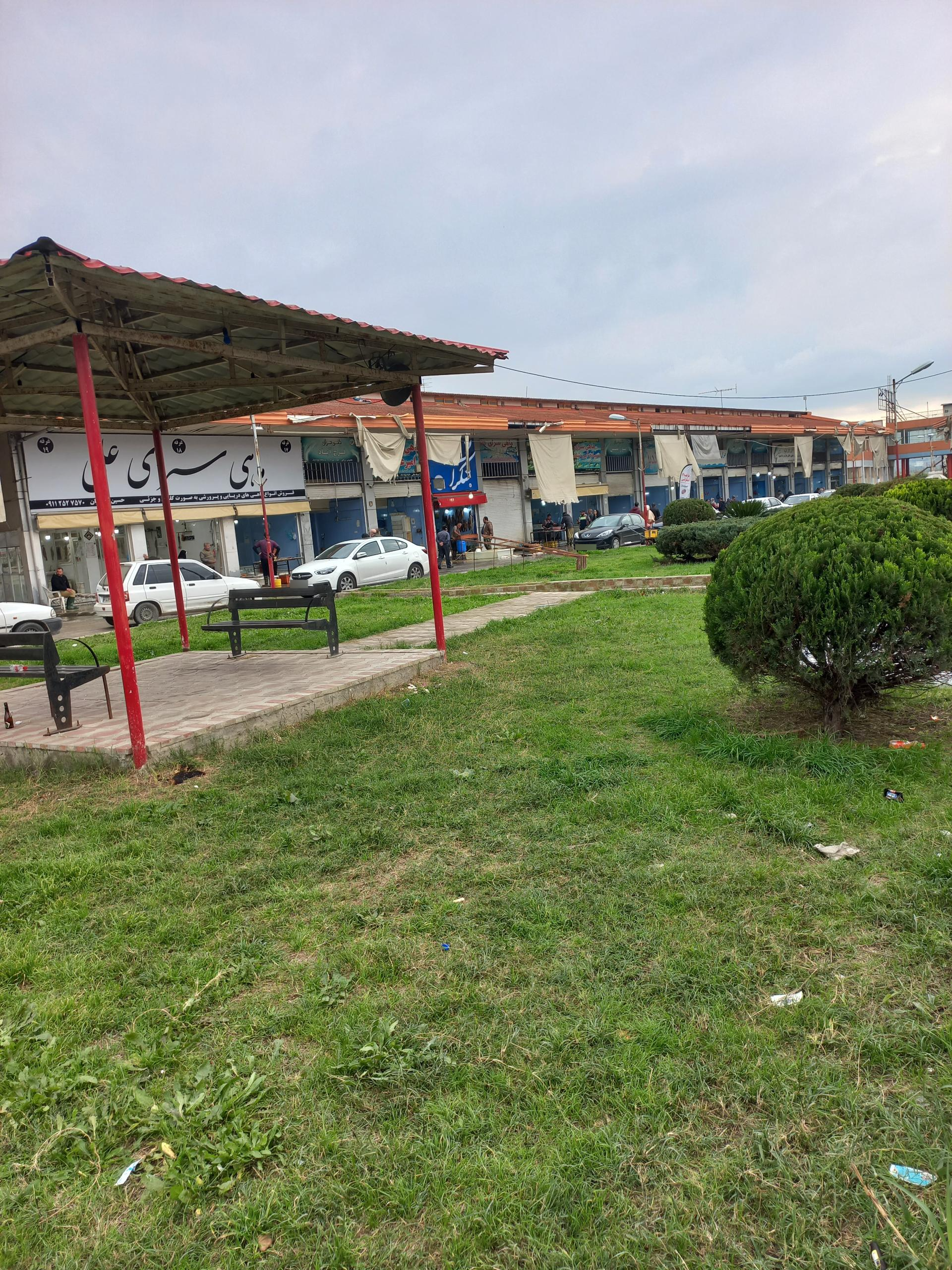 عکس بازار ماهی مرکزی