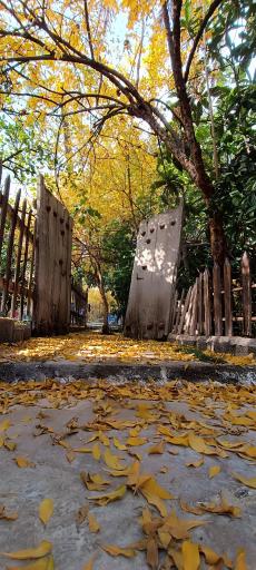 عکس اقامتگاه بومگردی نایب