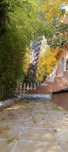 عکس اقامتگاه بومگردی نایب