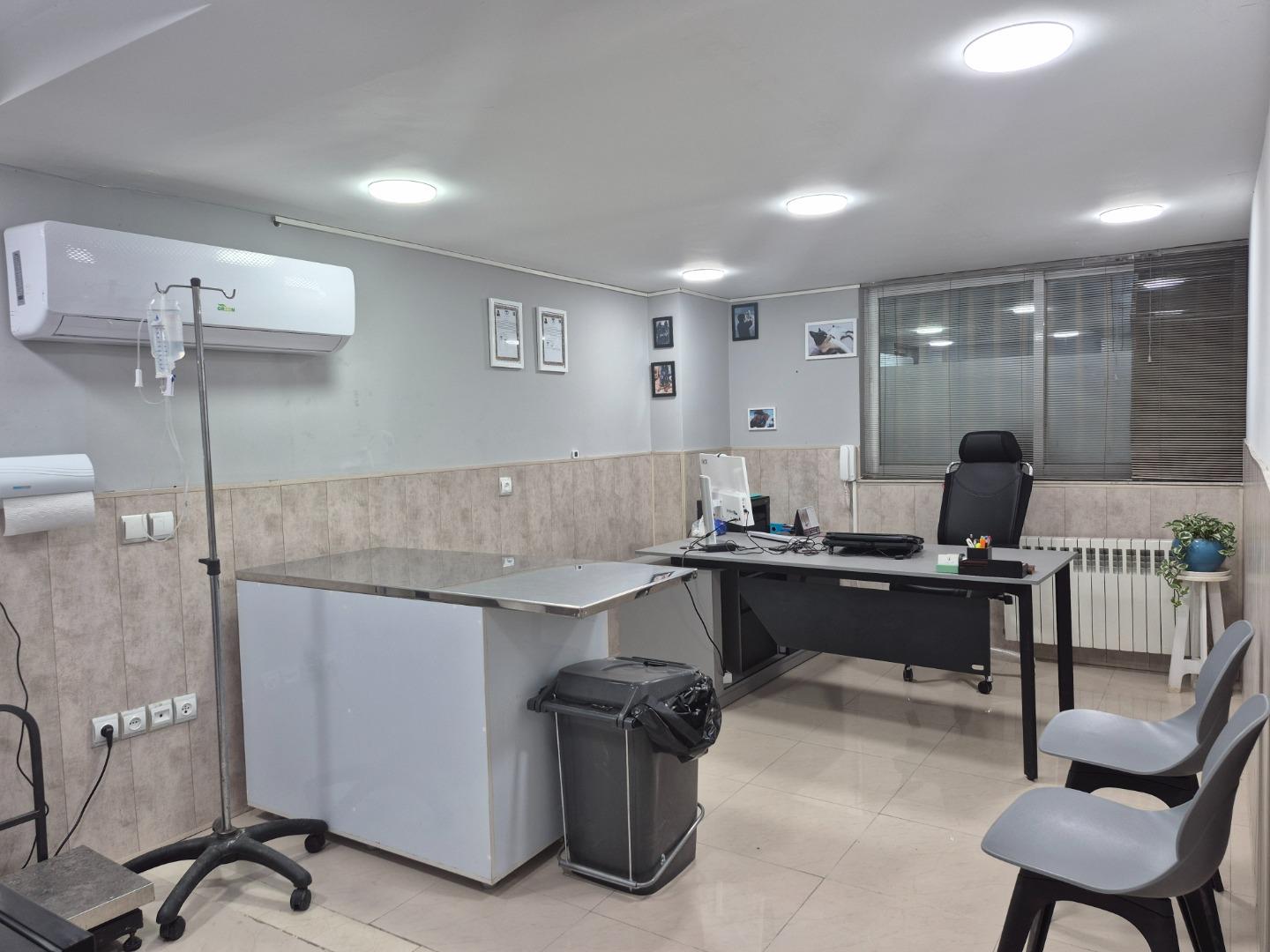 عکس کلینیک تخصصی دامپزشکی نوژین