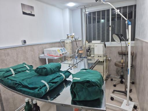 عکس کلینیک تخصصی دامپزشکی نوژین