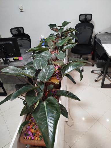 عکس شرکت بارمان ایکاد