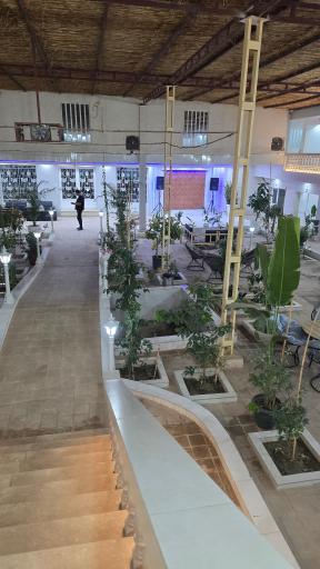 رستوران سلاطین 