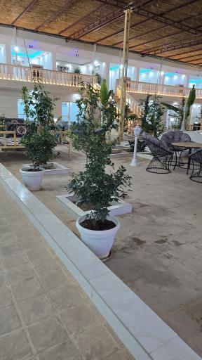 عکس رستوران سلاطین 