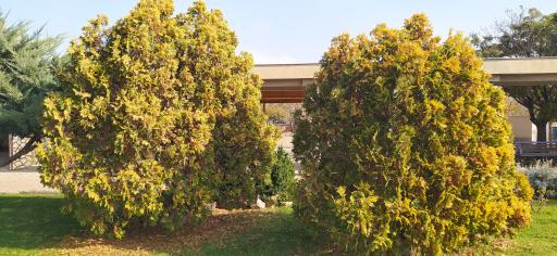 عکس اردوگاه اردوبهشت