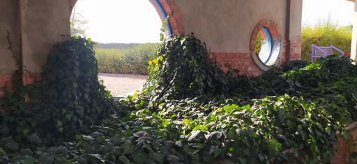 عکس اردوگاه اردوبهشت