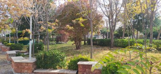 عکس اردوگاه اردوبهشت