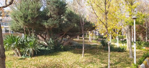 عکس اردوگاه اردوبهشت