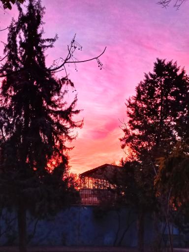 عکس بوستان نورالزهرا (تهرانی سابق)