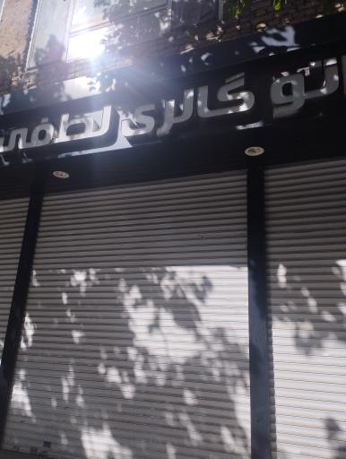 نمایشگاه لطفی